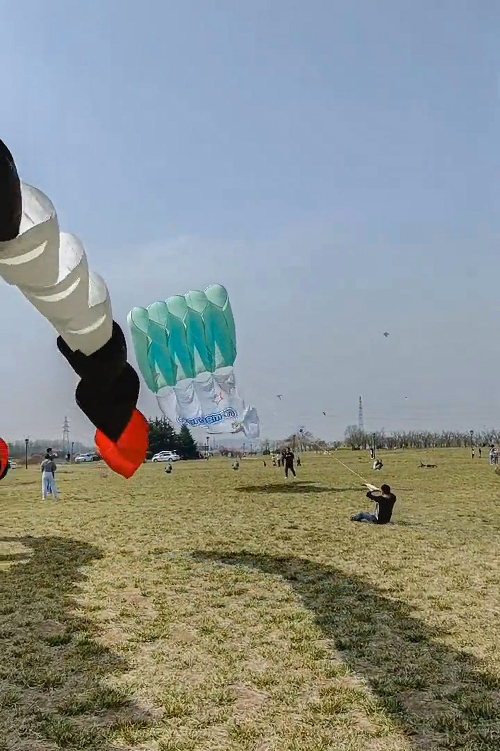 Read more about the article GRASSED UP: Man Surfs On Grass As Kite Drags Him Along