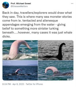 Read more about the article DEBUNKED: No, The Loch Ness Monster Was Not A Whales P3nis But It May Have Inspired Other Sea Monster Sightings