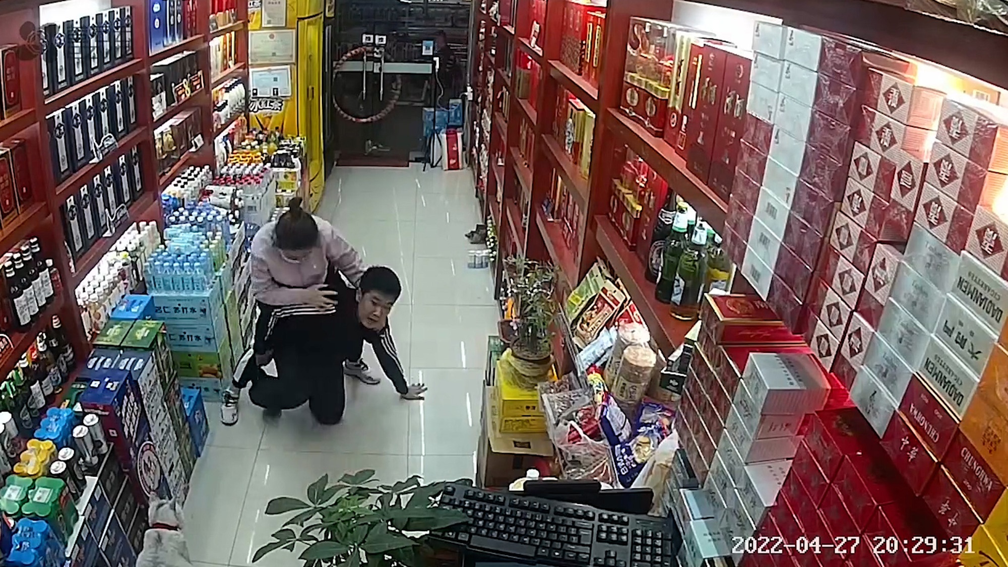 Read more about the article JIU WANT SOME? Booze Thief Battered By Female Jui-Jitsu Expert