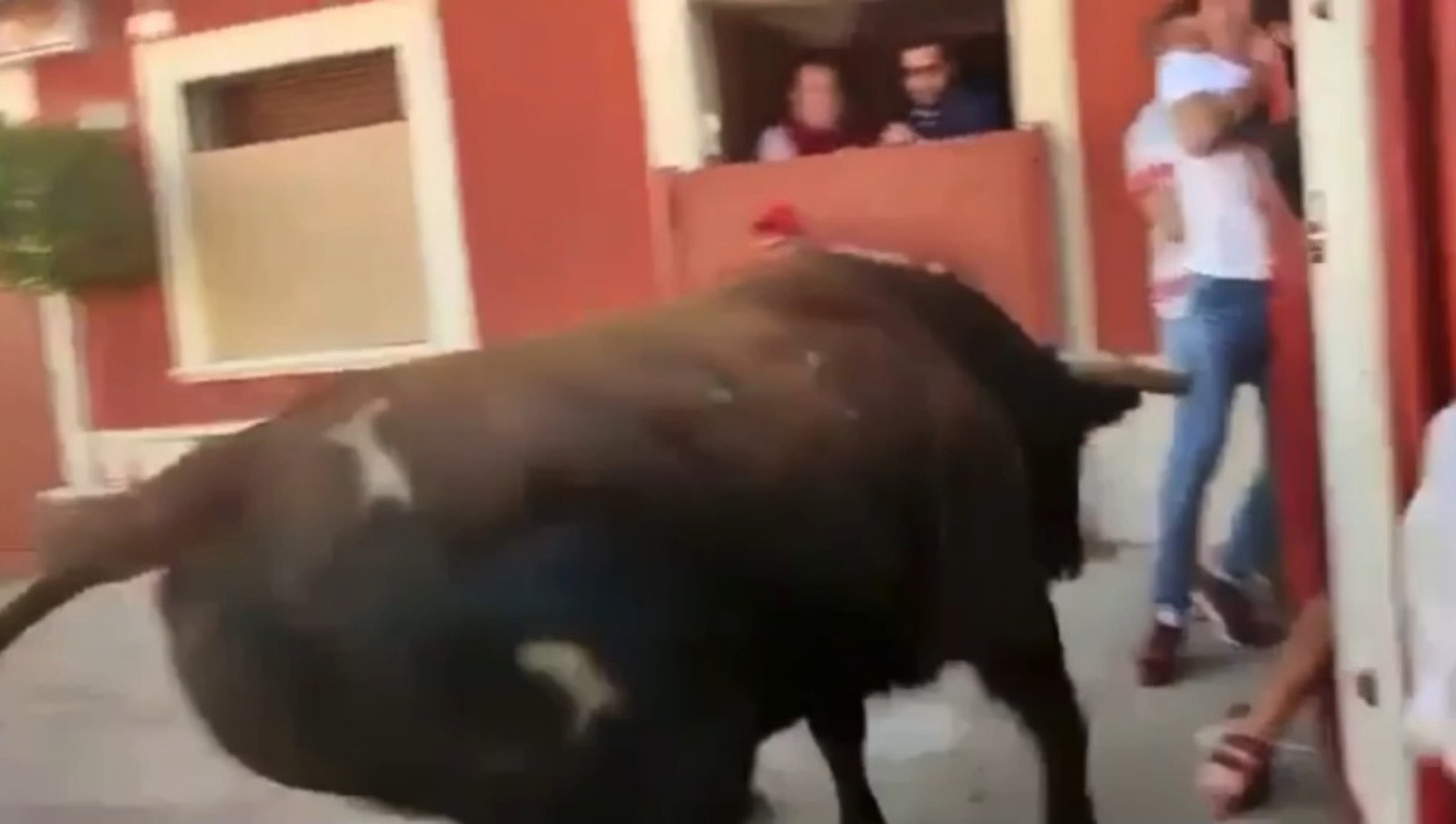 Read more about the article HORROR SHOW: Bull Fatally Gores Spectator During Festival In Spain