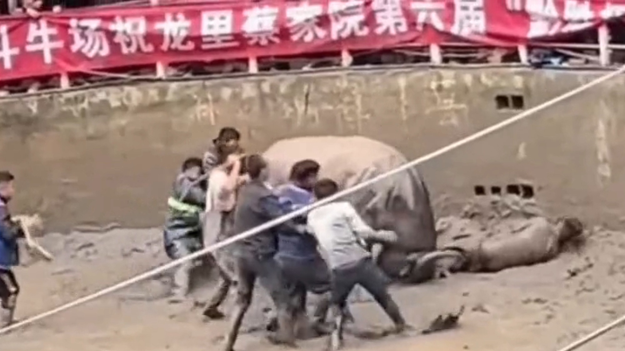 Read more about the article BULL IN A CHINA STROP: Huge Water Buffalo Gores Bullring Spectator