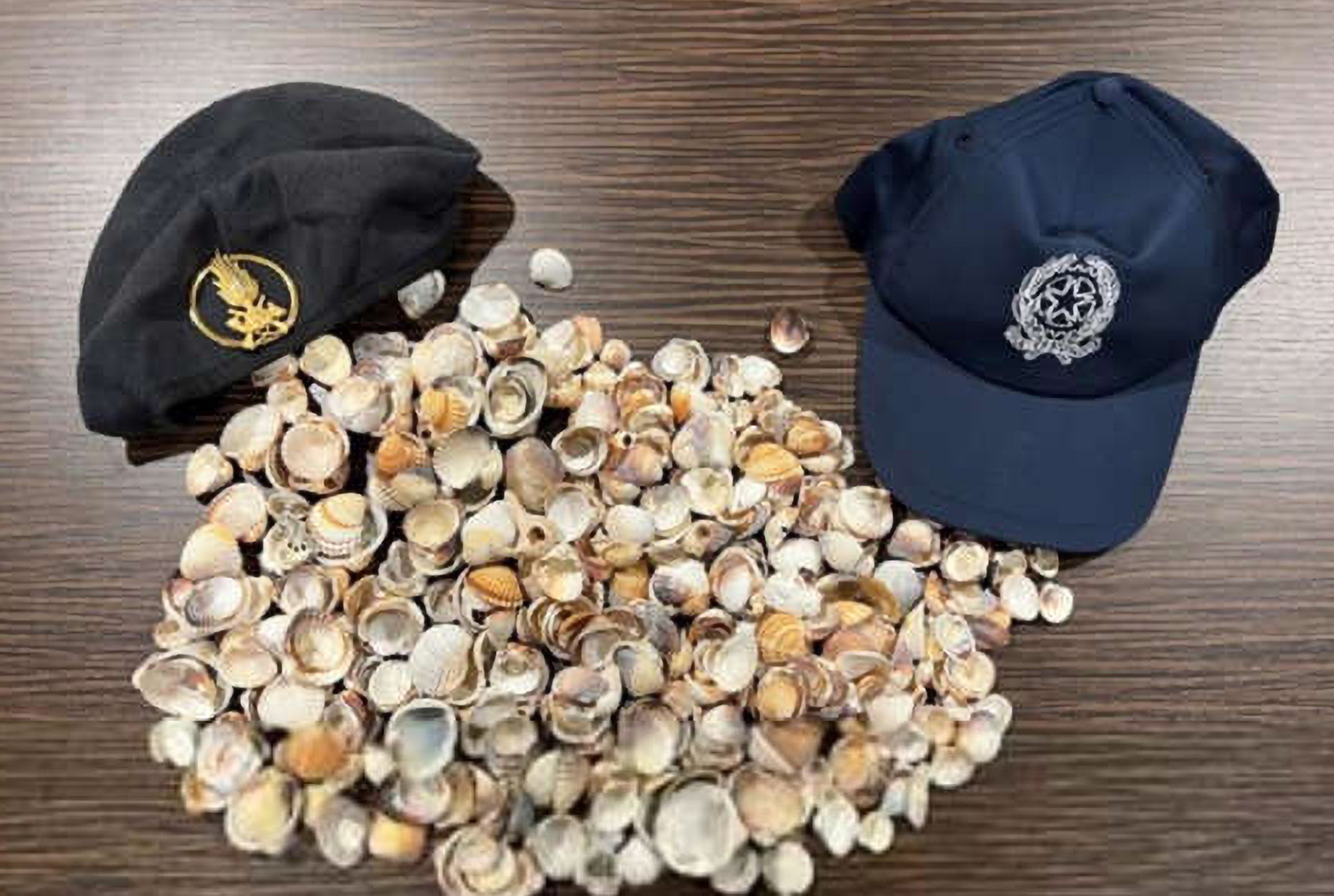 Read more about the article SHELL SHOCKERS: Tourists Caught Smuggling Hundreds Of Seashells And Tonnes Of Sand Out Of Italy