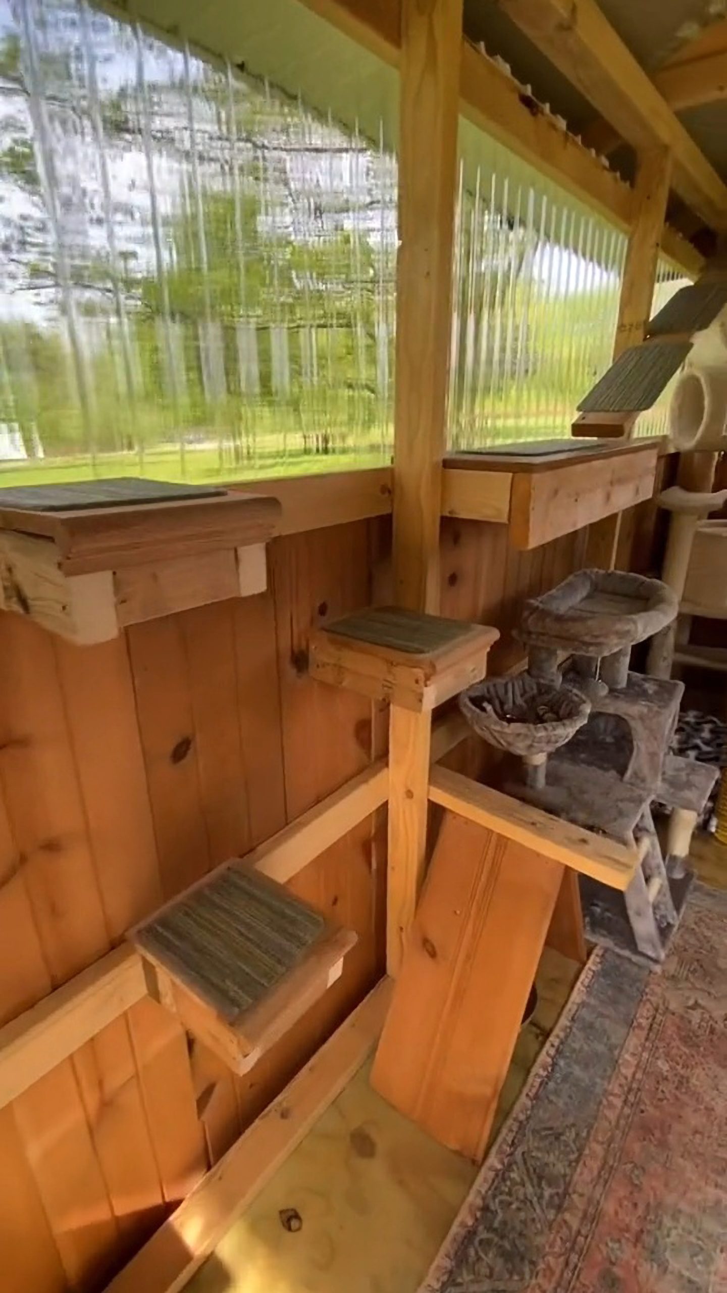 Read more about the article HOME SWEET HOME: TikTok Couple Builds Impressive Cat House For 10 Felines