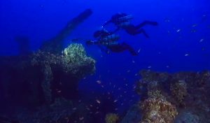 Read more about the article UNDER THE SEA: Shipwrecks Expand Microbial Diversity, New Study Shows