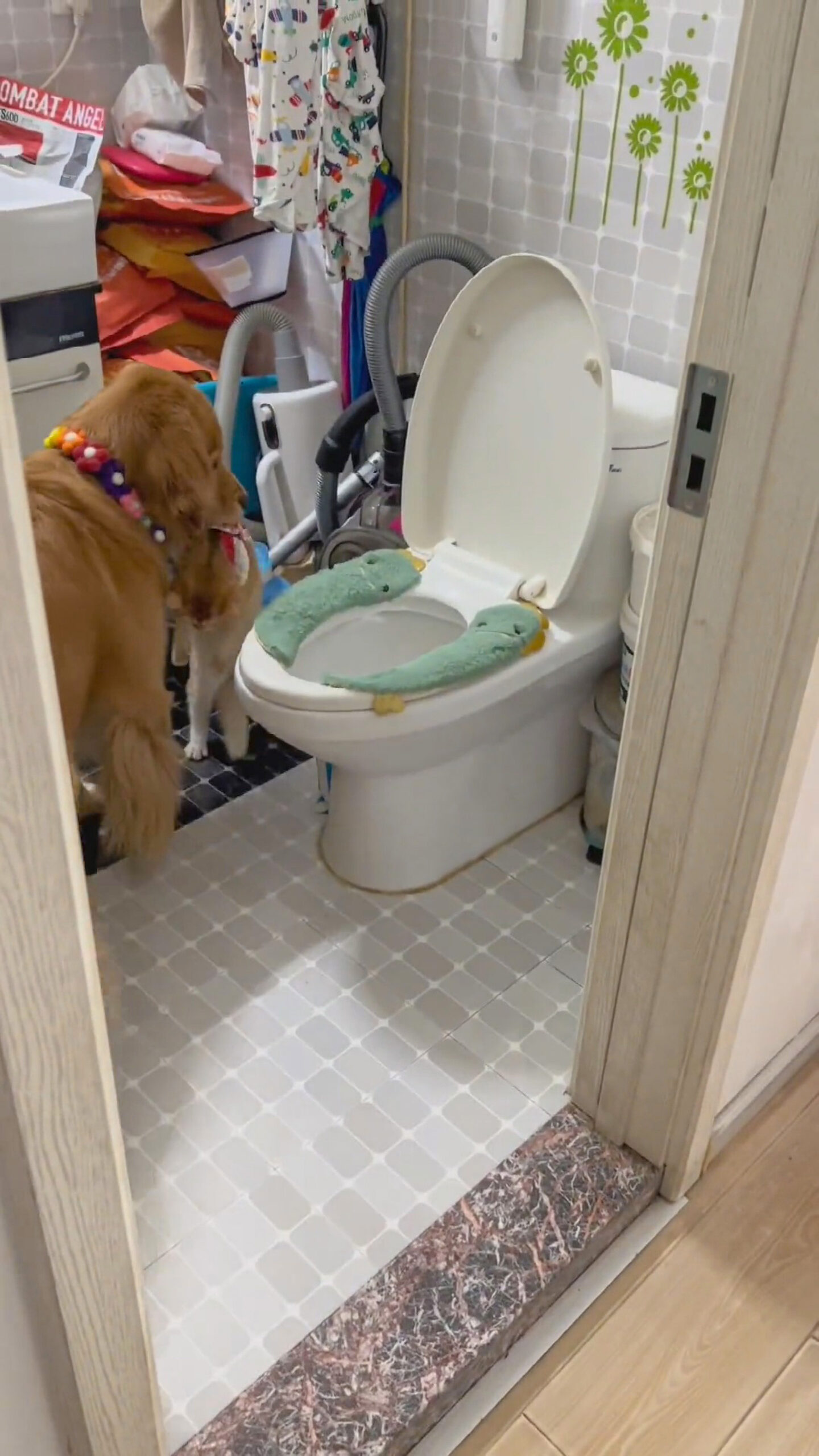 Read more about the article FIGHTING LIKE CAT AND BOG: Jealous Dog Dumps Pet Puss In Loo