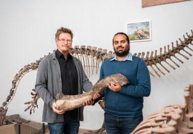 NEVER SAUR IT COMING: Boffins Discover New Dino On University Shelf