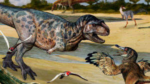 Read more about the article DINO-MITE: New Species Of Predator Dinosaur Dating Back 90 Million Years Discovered