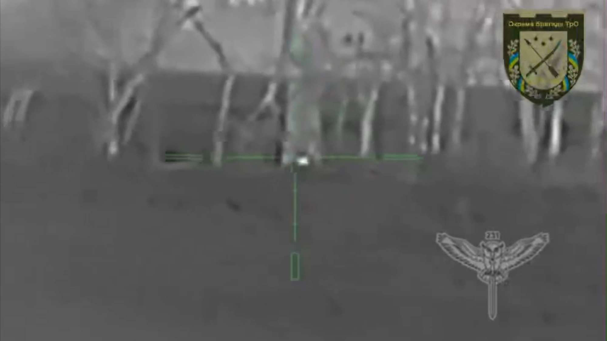 Read more about the article Moment Ukrainian Sniper Takes Out Russian Soldier With High-Precision Shot