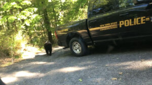 Read more about the article LOCKED DOWN: Trapped Bear Released From SUV In New York Town