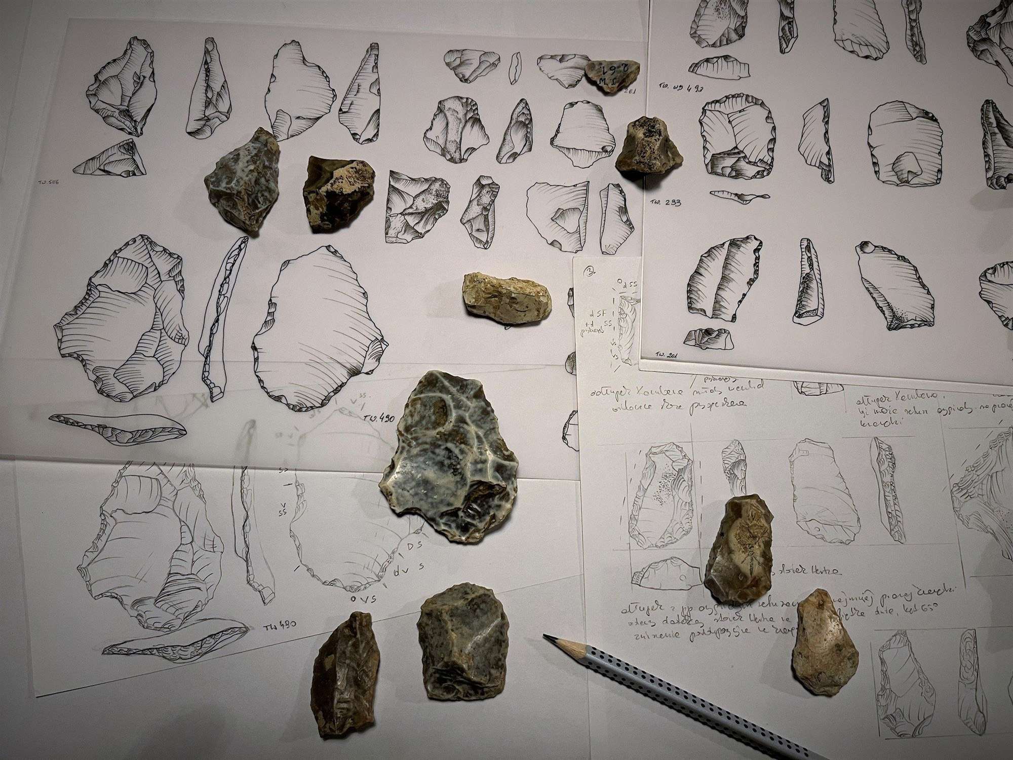 Read more about the article ANCIENT ARTEFACTS: Tools Dating Back Half A Million Years And Used By Extinct Human Ancestors Unearthed In Polish Cave
