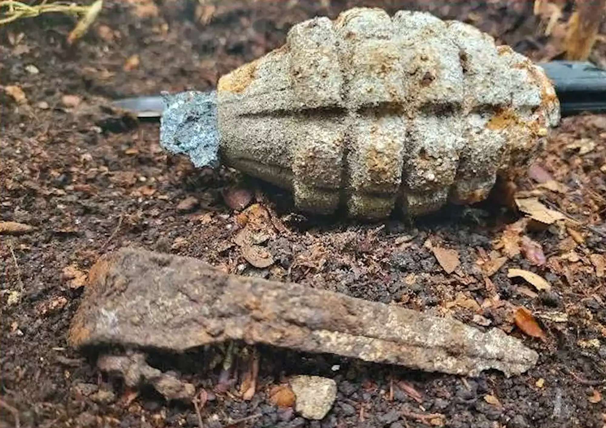 Read more about the article MUSH-BOOM: Man Discovers American World War II Grenade While Picking Mushrooms In German Forest