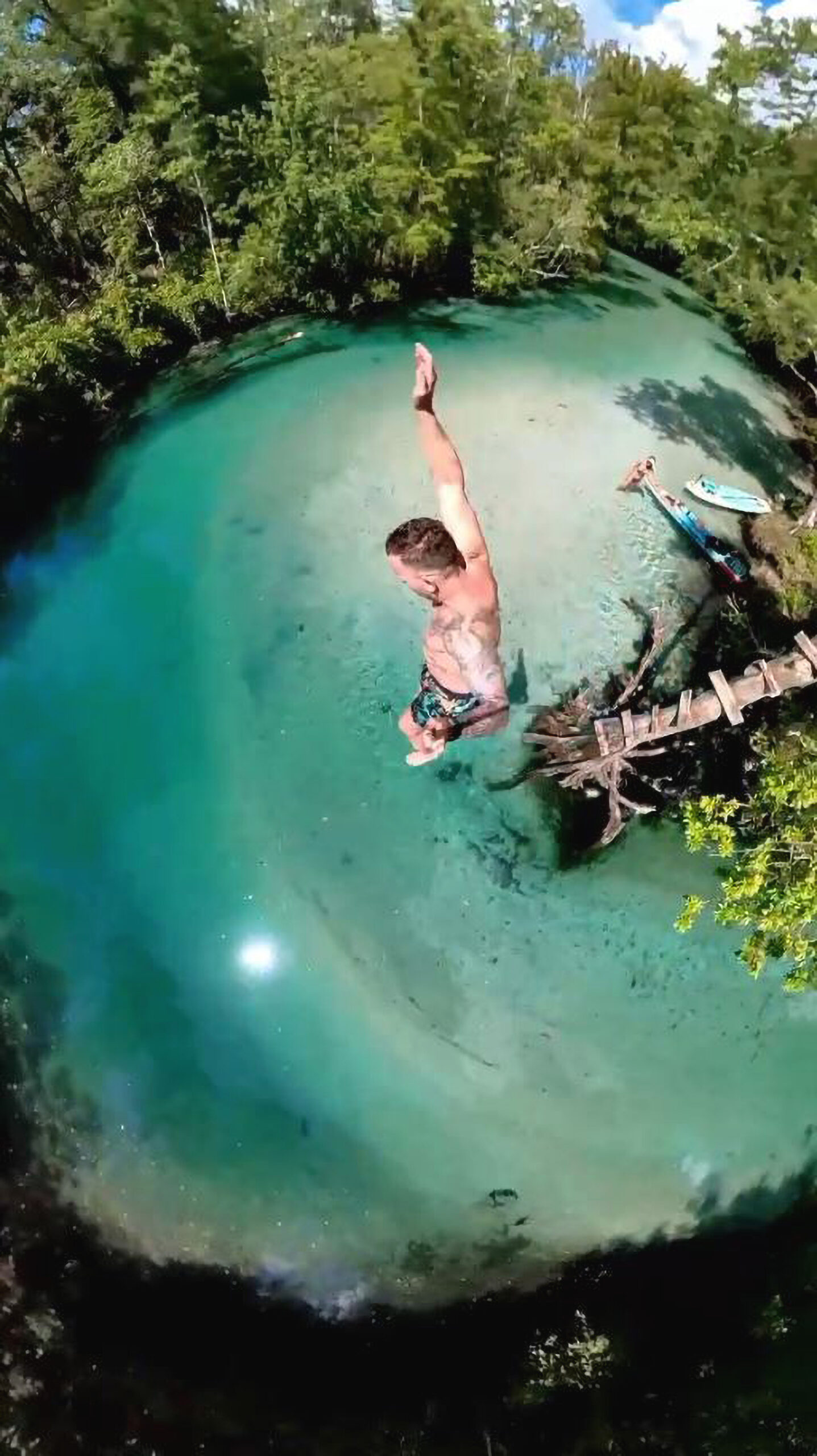 Read more about the article LEAP OF FAITH: Florida Man Jumps Off Tall Tree And Into Water Spring