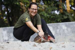 Read more about the article TURTLE SUCCESS: Vienna Zoo Species Protection Project Ensures Survival Of One Of The Rarest Turtle Species In The World