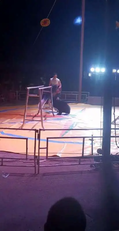 Read more about the article UN-BEAR-ABLE SHOW: Moment Circus Performers Kick And Beat Terrified Bear Cub With Stick