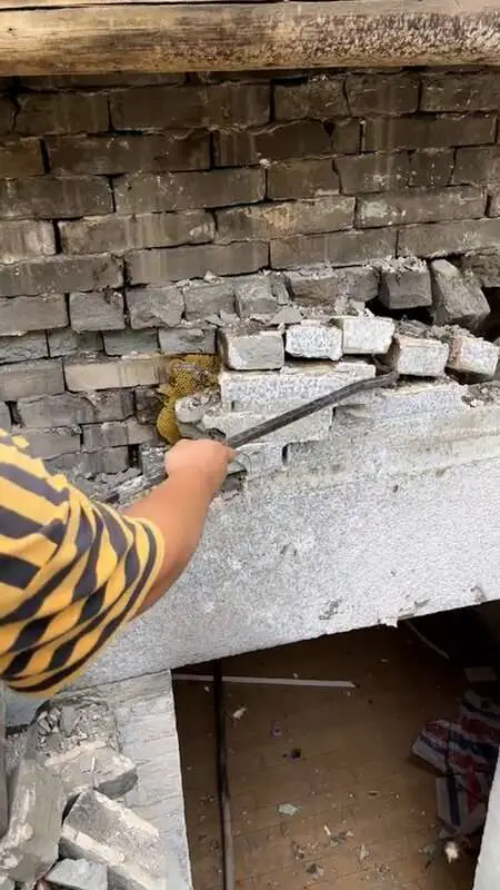 Read more about the article HOME SWEET HOME: Builder Finds Huge Honeycombs Under Demolished House