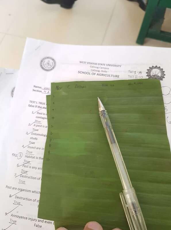 Read more about the article BANANAS IDEA: Green Teacher Gets Students To Write Exam Answers On Leaves