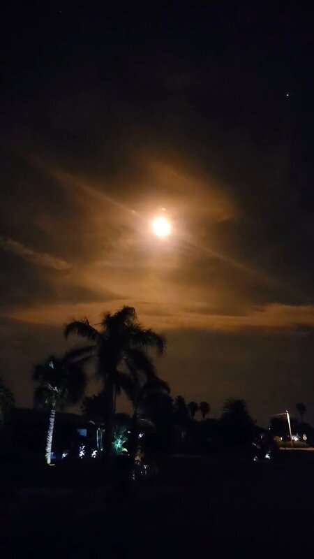 Read more about the article OVER THE MOON: Florida Woman Witnesses Spectacular NASA Artemis 1 Launch From Home