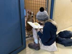 Read more about the article READERS OF THE LOST BARKS: Children With Literacy Problems Read To Abandoned Dogs