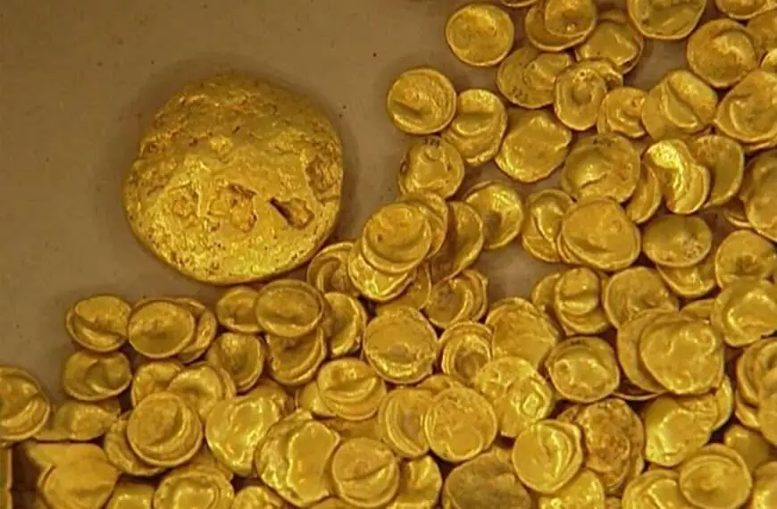 GOLD RUSH: Historic EUR 3 Million Haul Of Ancient Gold Coins Stolen From Museum