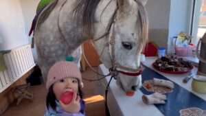 Read more about the article STABLE RELATIONSHIP: Four-Year-Old Girl Shares Snacks With Her Beloved Horse