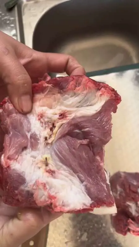 Read more about the article GOT THE NEEDLE: Furious Cook Finds Hypo In Pork Joint