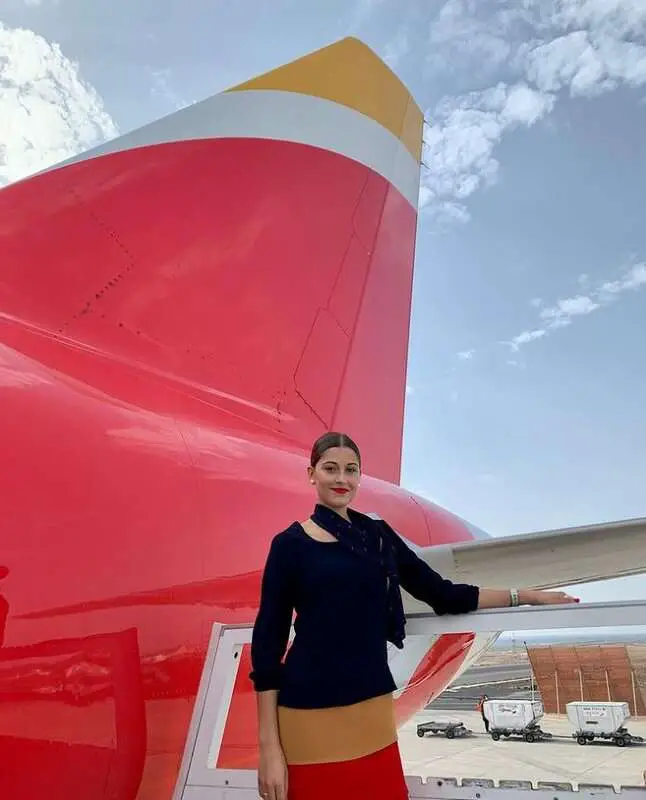 Read more about the article HIGH FLYER: Airhostess Stuns Passengers With Amazing Version Of ‘All I Want For Christmas Is You’