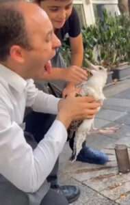Read more about the article GULL-IBLE TRAVAILS: Seagull Tries To Rip Out Man’s Tongue