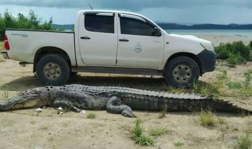 MAN EATER: Croc That Attacked Dad And Ate Toddler In Boat Is Caught And Killed