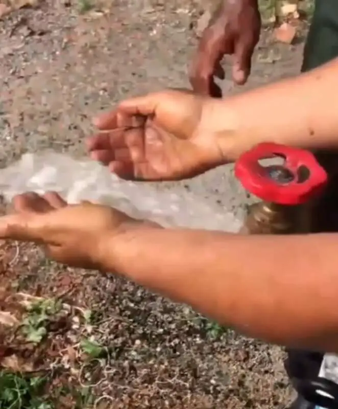 Read more about the article SNAKES ALIVE: Shocked Locals Get Snake Falling From Tap As They Washed Hands