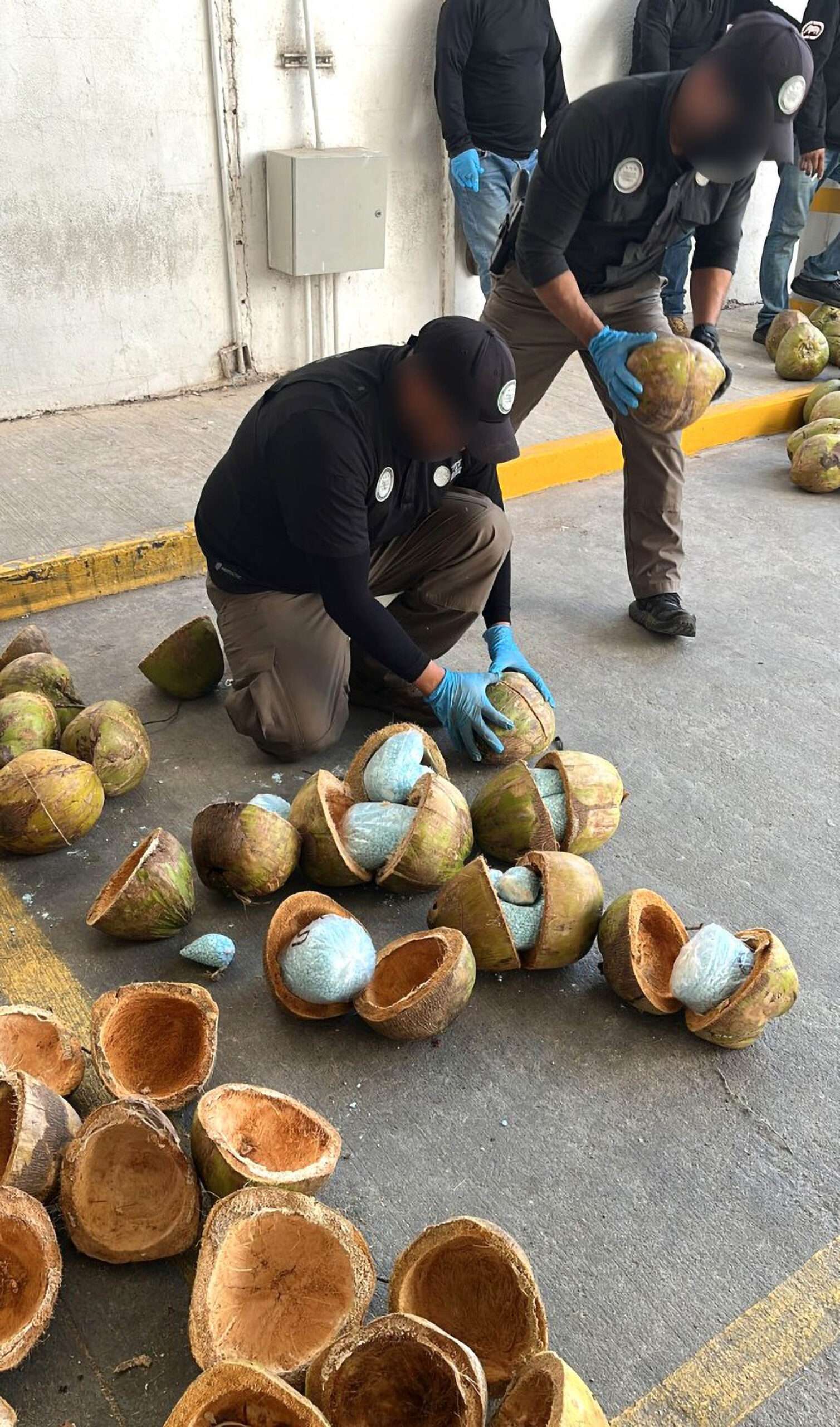 Read more about the article THAT’S NUTS: Officials In Mexico Seize Huge US-Bound Drugs Haul Hidden Inside Coconuts