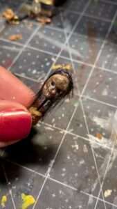 Read more about the article WONDER-SMALLS: Mum Crafts Miniature Worlds To Enchant Online Followers