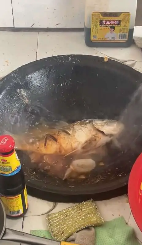 Read more about the article BRAISED FROM THE DEAD: Carp Turns And Tosses Over In Heated Pan While Cooking