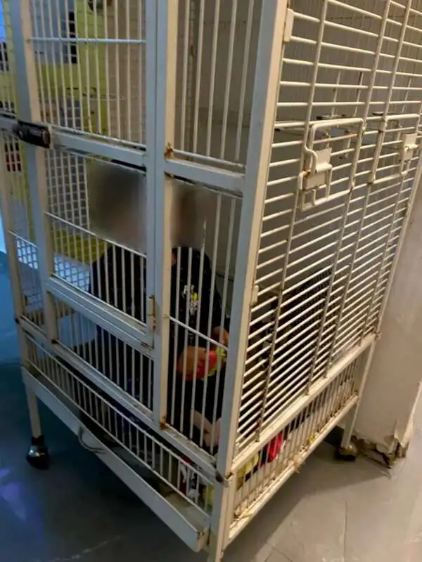 Read more about the article CAGED LIKE DOG: Shocked Drug Raid Police Find Baby Locked In Cage