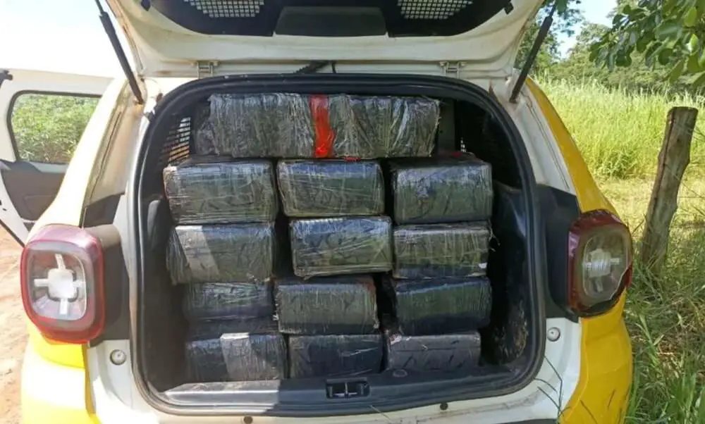 Read more about the article DRUG FOOL: Woman Transporting 700 Kg Of Cannabis Busted After Calling Cops When She Was Robbed