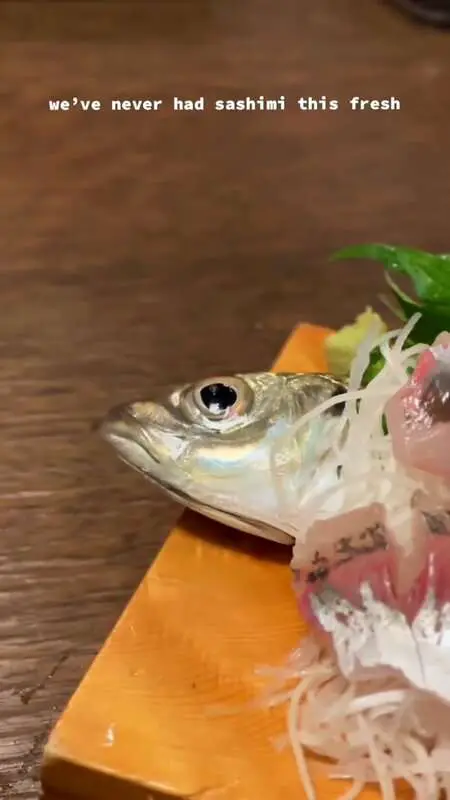 Read more about the article FISHY TALE: Fish Served To Influencer Still Alive Despite Body Being Made Into Sashimi Slices