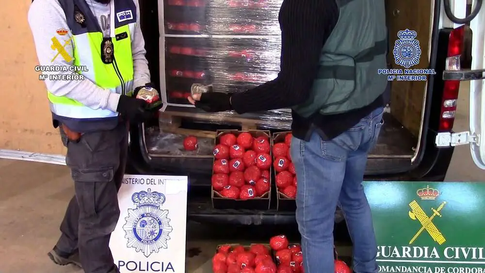 Read more about the article COPS KETCHUP WITH CROOKS: 22 Tonnes Of Cannabis Seized In Malaga Hidden Inside Fake Tomatoes