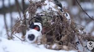 Read more about the article Ukrainian Troops Show Off Sleek White Winter Camo Gear Hiding In Snowy Forest