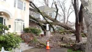 Read more about the article FALLEN TREES: Vid Shows Homes Devastated After Storms Wreak Havoc In California