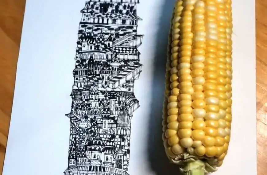 GREEN FINGERS: Boy’s Astonishing Architectural Drawings Based On Vegetable Outlines