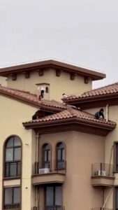 Read more about the article FRIGHT ON THE TILES: Children Play On Roof Above 150-Foot Sheer Drop
