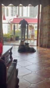 Read more about the article DOG TIRED: Elderly Man Gets Help Exercising As Pet Pooch Joins In