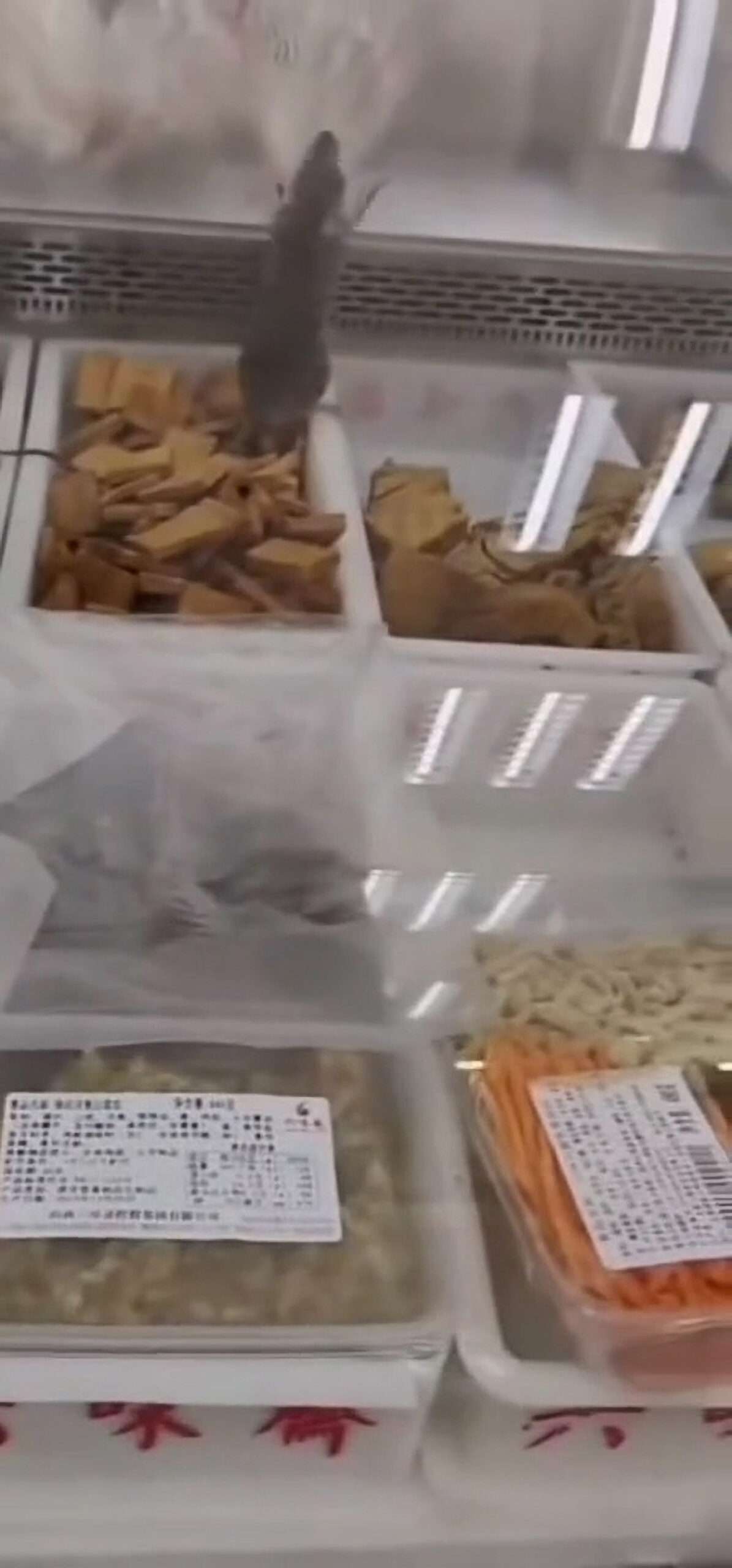 Read more about the article Large Rat Found In Rice Stand At Chain Supermarket
