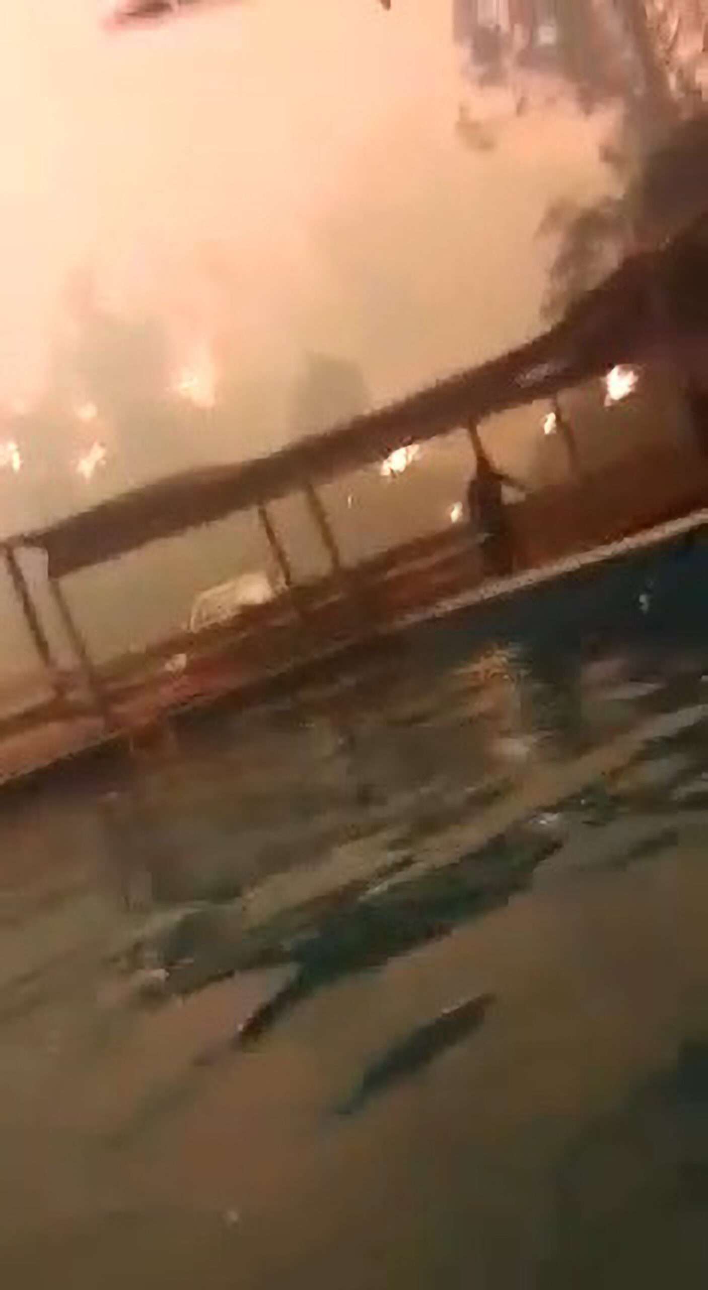 Read more about the article COWERING INFERNO: Terrified People Jump In Swimming Pool To Escape Wildfire