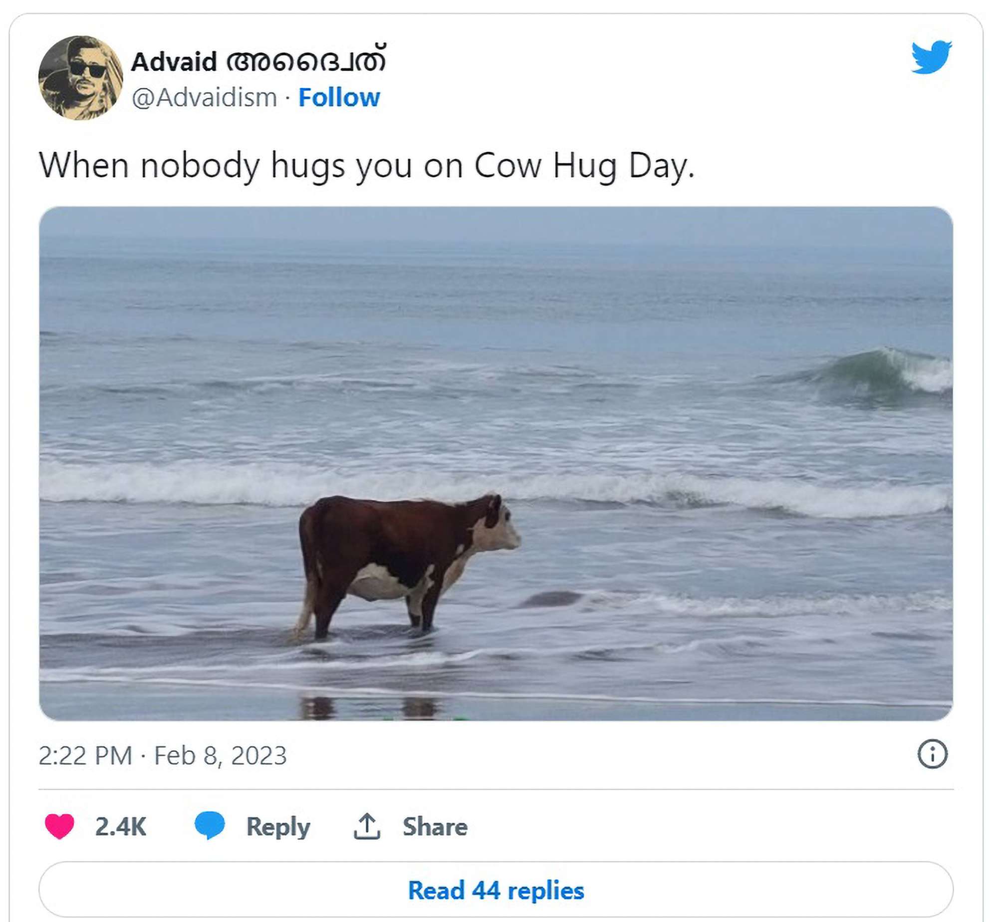 Read more about the article HAPPY COWENTINES DAY: Online Mockery As Indian Gov Tells People To Hug A Cow For Valentine’s Day