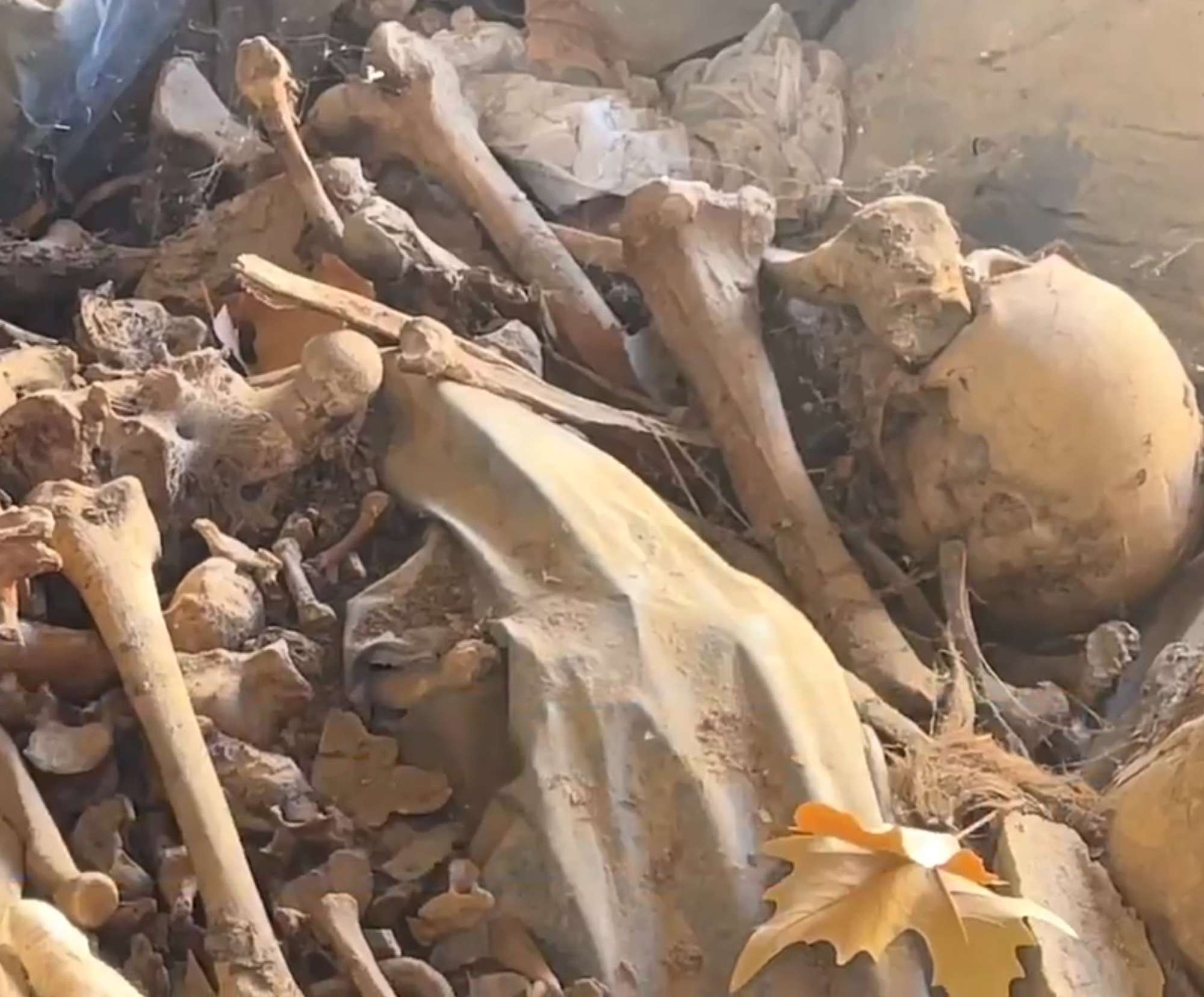 Read more about the article Fury Over Hundreds Of Human Skeletons Dumped In Graveyard