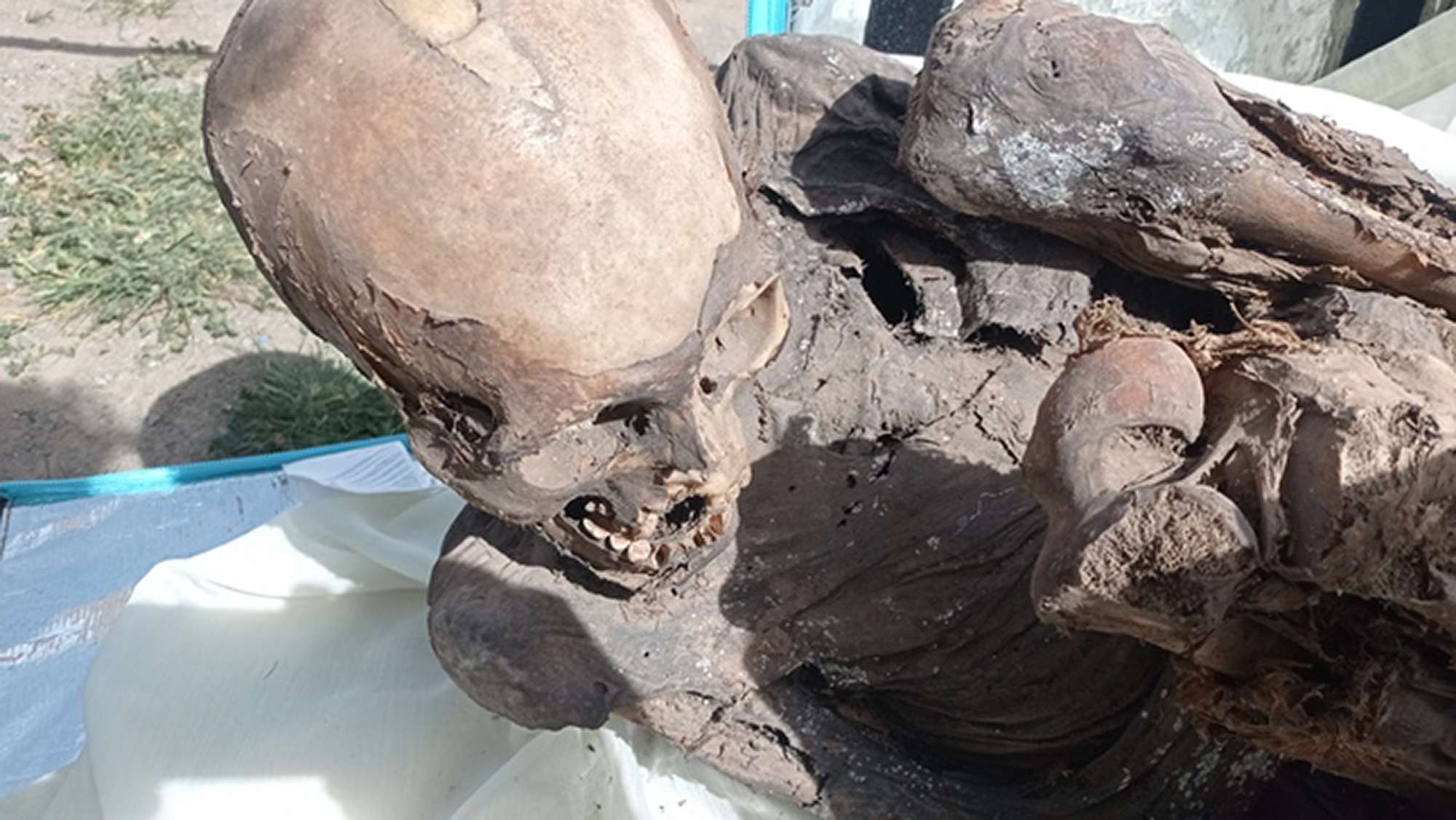 Read more about the article FANCY A WRAP? 800-Year-Old Mummy Found In Food Biker’s Bag