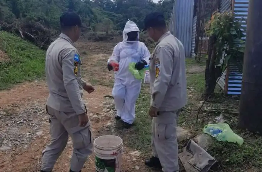 Killer Bee Swarm Kills Man, 71