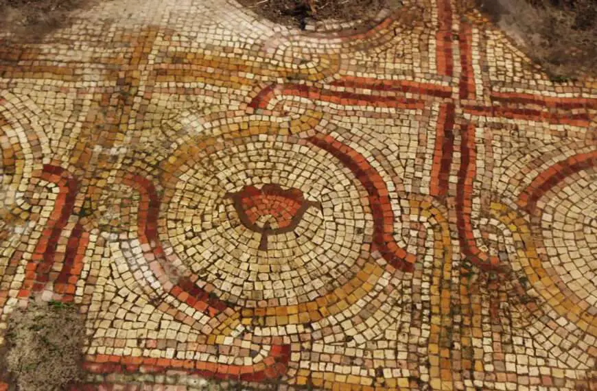 Stunning Floral Mosaic Up To 1,500 Years Old Uncovered In Israel