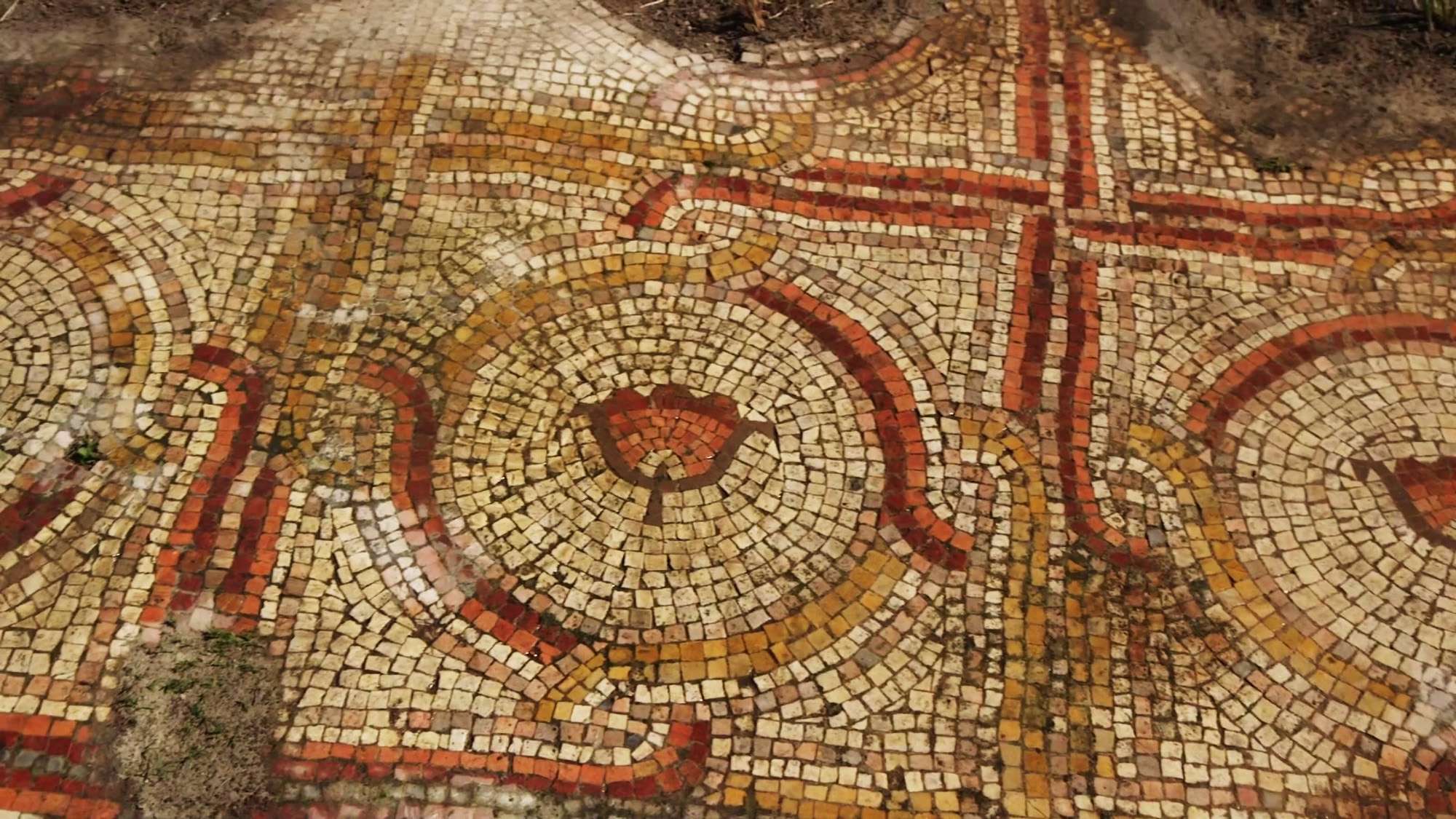 Read more about the article Stunning Floral Mosaic Up To 1,500 Years Old Uncovered In Israel