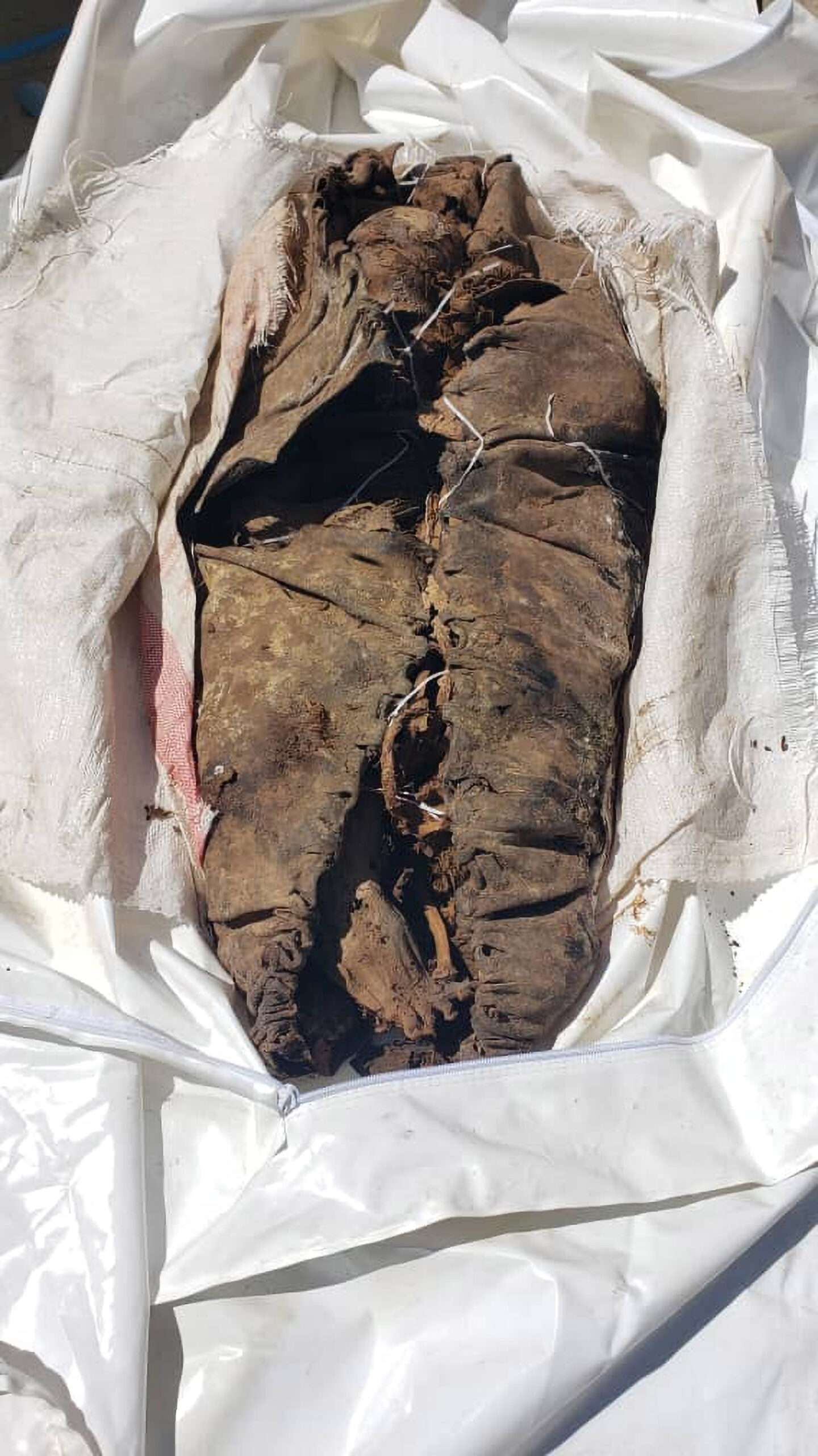 Read more about the article Looted 2,000-Year-Old Mummy Found On Rubbish Tip